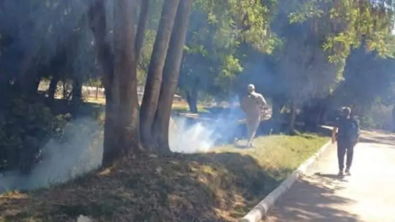 fumigación